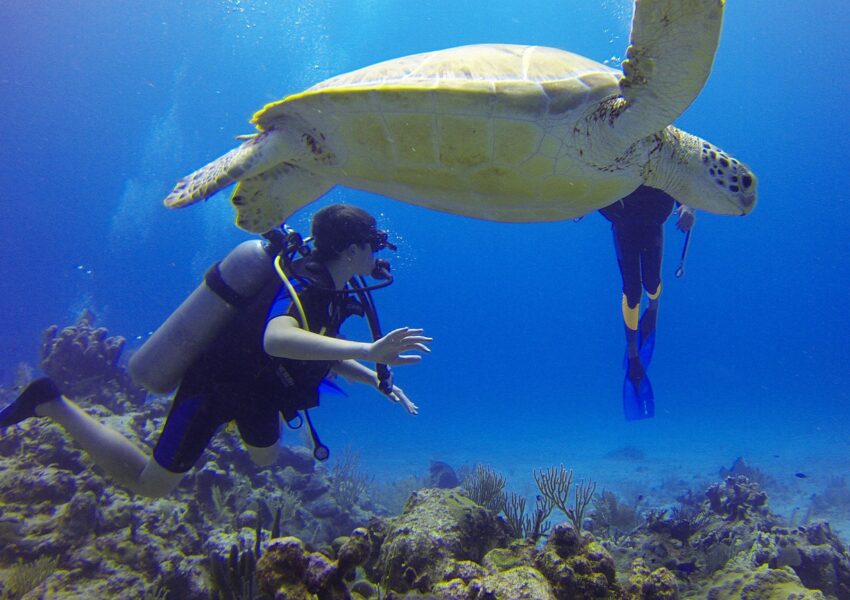 Diving in the Dominican Republic