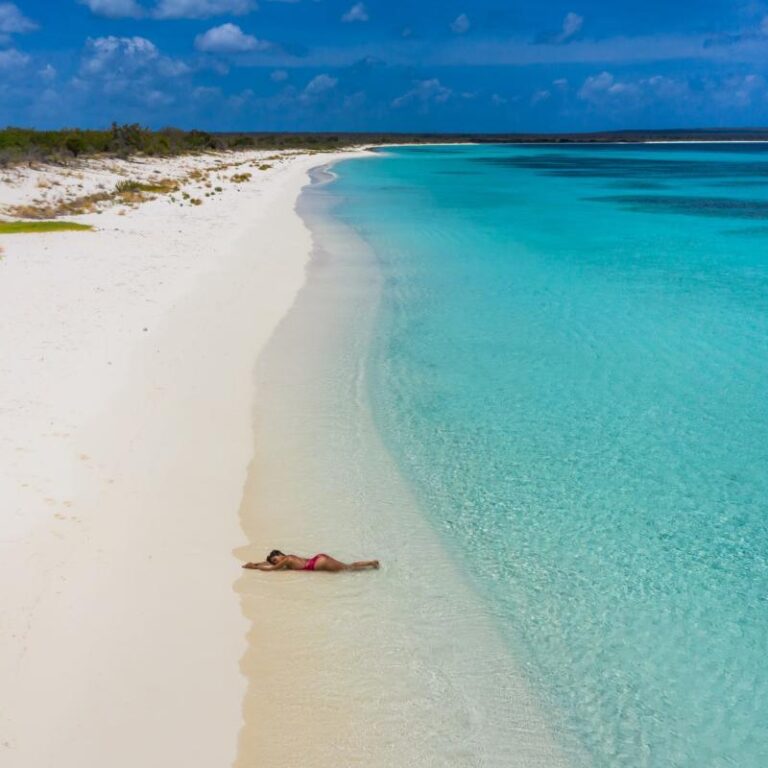 Shore Excursions Cabjo Rojo - Bahia de las Aguilas Pedernales, Las Aguilas Bay with Private Flight from Punta Cana